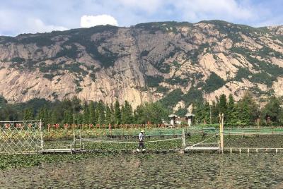 Lo mejor de Wenzhou Walking Tour