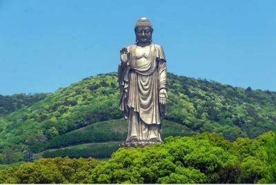 Traslado privado entre Wuxi Lingshan Buddhist Scenic Spot y City  Traslado privado entre Wuxi Lingshan Buddhist Scenic Spot y City