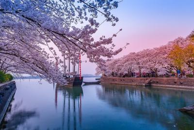 Traslado privado entre la ciudad de Wuxi y Taihu Yuantouzhu Sceni Traslado privado entre la ciudad de Wuxi y Taihu Yuantouzhu Sceni