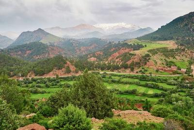 Excursión de un día al parque nacional toubkal Valle de Ourika y 