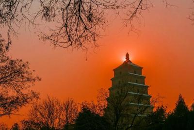 Pagoda de gran ganso salvaje de Xi'an: tour a pie de grupos peque
