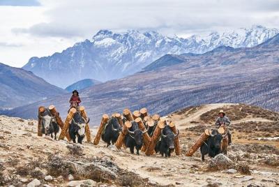 Viaje de Xining a Chengdu por tierra