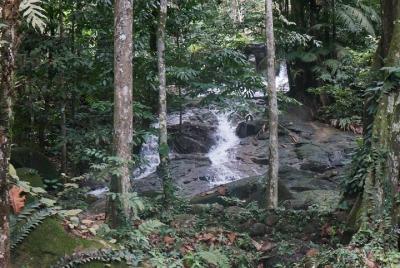 KL Rainforest & Waterfall picnic 雨林 열대 우림