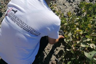 Cata de vinos premium de Santorini