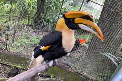 Excursión de medio día al jardín y al parque (SIC Tour - Join In 