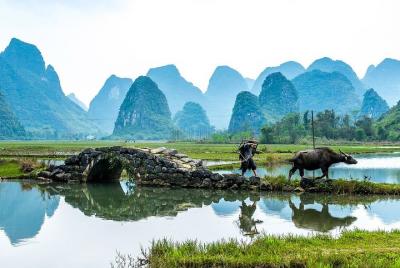 Visita guiada virtual: visita los paisajes de China con películas de Hollywood Visita guiada virtual: visita los paisajes de China con películas de Hollywood