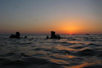 Inmersiones de aventura para buzos certificados en Nea Makri, Ate Inmersiones de aventura para buzos certificados en Nea Makri, Ate