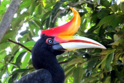 Tour de jardines y parques desde Kuala Lumpur Tour de jardines y parques desde Kuala Lumpur