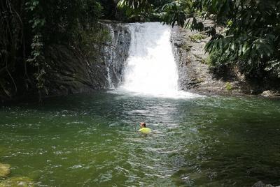 Piscina Paraíso con Cosecha Tropical