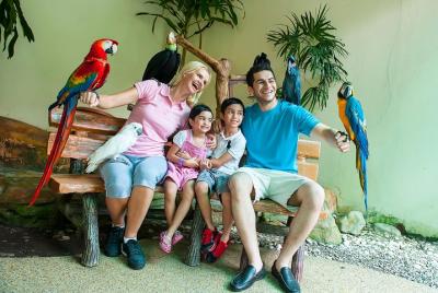 Entrada al parque de aves de Kuala Lumpur con recogida en el hote