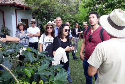 Café & flores: Experiencia Cafetera en Bogotá, Colombia