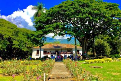 Museo de las Plantaciones del Valle Museo de las Plantaciones del Valle