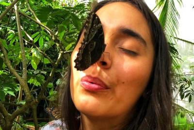 Paseo de las Mariposas