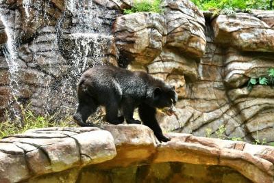 Visita al zoológico municipal de Cali