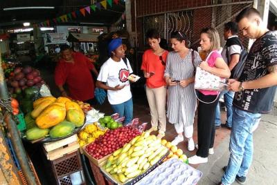 Tropical Fruit Tour - Vive una experiencia gastronómica única