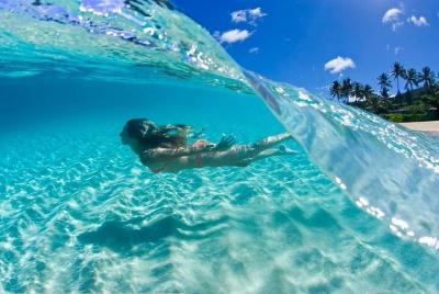 Tour de Día Completo en Isla Barú desde Cartagena 