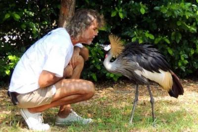 Aviario Nacional De Colombia Y Playas Blanca