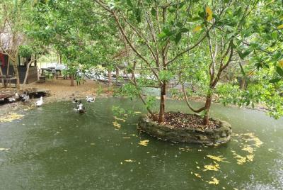Tour Privado Conociendo el Vivarium desde Cartagena