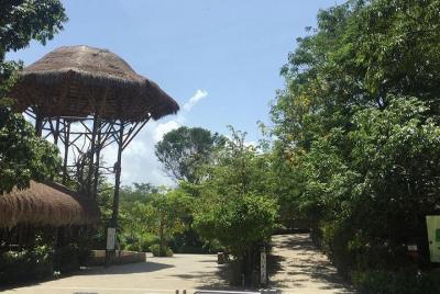 Aviario en la isla de Baru