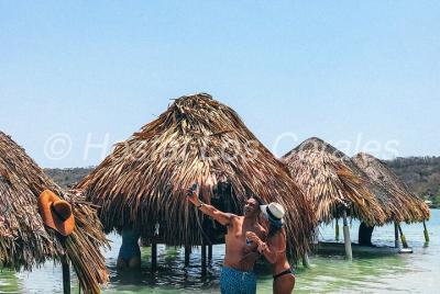 Islas del rosario + plankton 