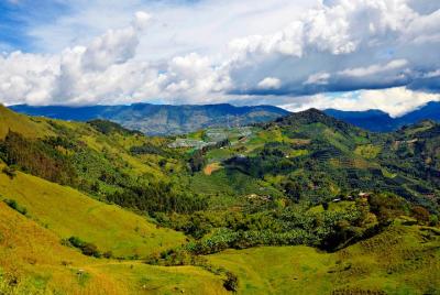 Horse Tour in Jardín with Lunch