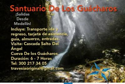 Excursion Santuario De Los Guácharos