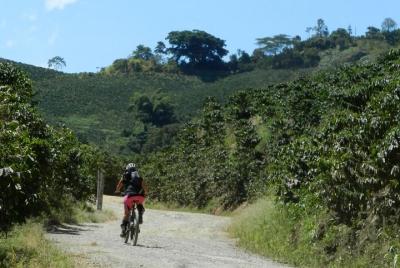 Ruta del paisaje y del café en bicicleta