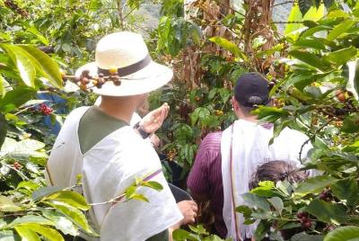 Tour cafetero, un café entre montañas.