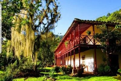 Experiencia de café desde el grano hasta la taza