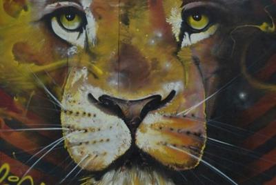 Tour Graffiti por Medellín