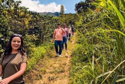 Recorrido sobre el café de Colombia: Recorrido de medio día | De  Recorrido sobre el café de Colombia: Recorrido de medio día | De