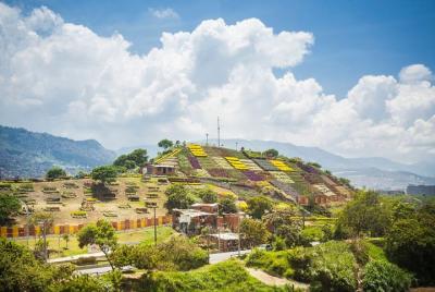 De la basura a las flores, la comunidad de Moravia en Medellín
