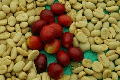 Excursión exprés de café