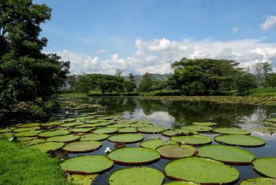 Pasadía San Luis Naturaleza