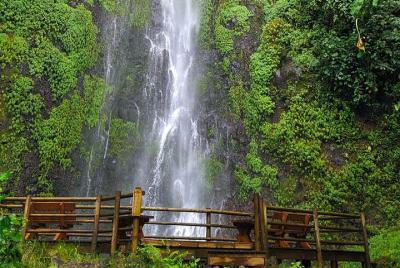 Pasadía Privada Santuario Otún Quimbaya y Cascada los Frailes 