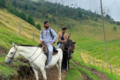 Horse Riding cocora valley