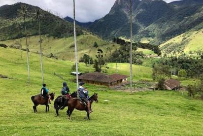 Cabalgata Valle del cocora Mirador Condor