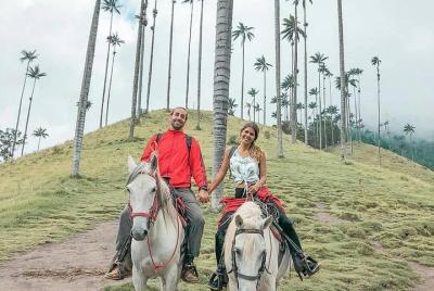 Cabalgata Rio Y Palmeras Valle Del Cocora