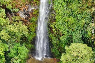 Tour gran cascada valle del cocora Tour gran cascada valle del cocora