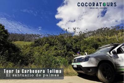 Tour la carbonera sanctuary of palms