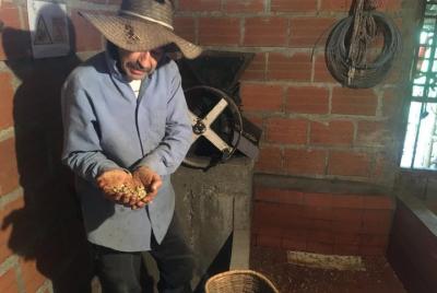 Coffee Tour Caminata del Café, Flores y Aves