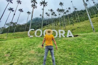 Tour valle del cocora, Salento Quindío, Santa Rita waterfall