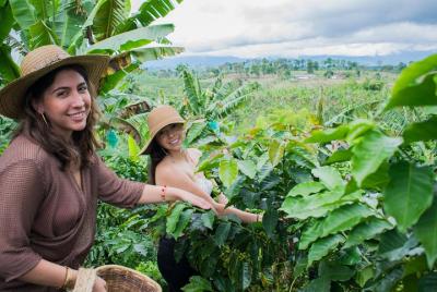 Especialty Coffee tours Especialty Coffee tours