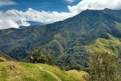 Trekking Camino Nacional - Cocora Trekking Camino Nacional - Cocora