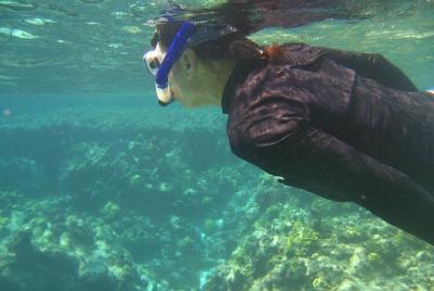 Tour de Snorkeling en San Andres