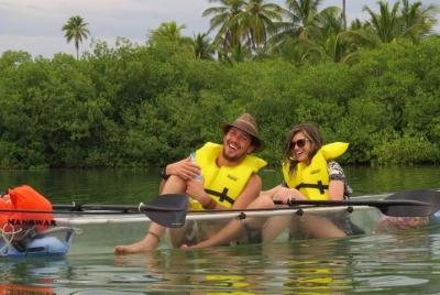 Manglares en Kayak 