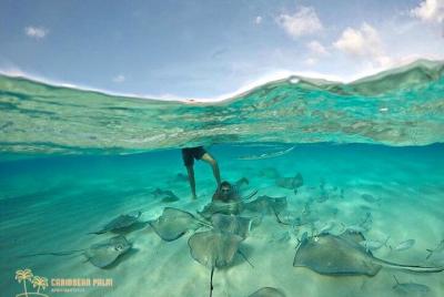 Tour Special Snorkel