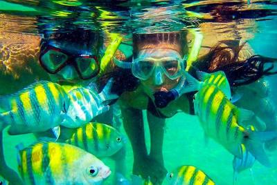 Excursión de un día a Shell Bay y snorkel.