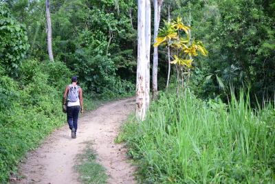 Piscinas naturales del trompito y mirador de Río Mar