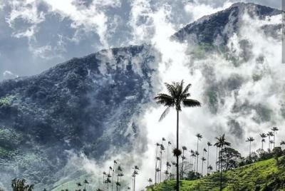 Tour Parque Tayrona (sector Arrecife) 